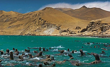 Día 3: Paracas – Viaje a Nazca – Sobrevuelo Líneas de Nazca – Oasis de Huacachina – Retorno a Lima (Desayuno y Almuerzo)