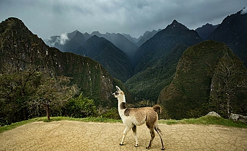 Dia 2: Visita a Machu Picchu – Cusco (Desayuno y Almuerzo)
