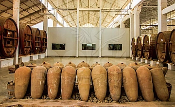 Paracas, Viñedo Tacama y Oasis de Huacachina