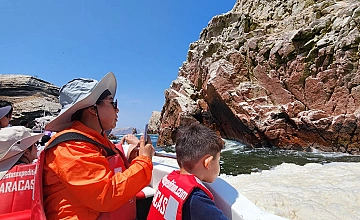 Lima - Paracas – Tour Islas Ballestas en Paracas – Reserva Nacional de Paracas – Visita Oasis de Huacachina – Retorno a Lima (Desayuno y Almuerzo)