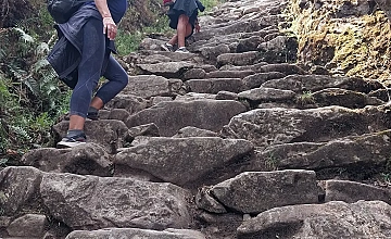 Cusco – Ollantaytambo – Km 104 – Chachabamba – Wiñayhuayna – Puerta del Sol o Intipunku – Machupicchu – Aguas calientes (Box lunch)