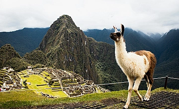 Tour Machupicchu en Tren First Class