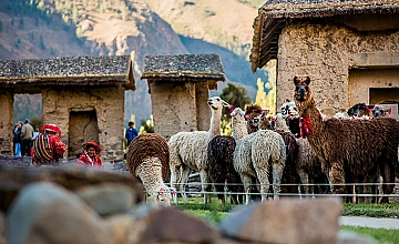 (18 de Febrero del 2026) Ollantaytambo – Pinkuylluna – Ciudad Inka viviente de Ollantaytambo – Almuerzo ancestral “Pachamanca” (Desayuno y Almuerzo)